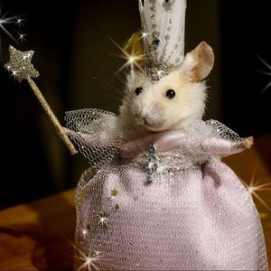 Meet your Posher, Sacha